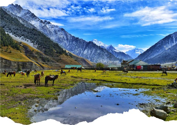 TOUR KASMIR ẤN ĐỘ GIÁ RẺ TỪ HÀ NỘI - DELHI – KASHMIR – AGRA – JAIPUR
